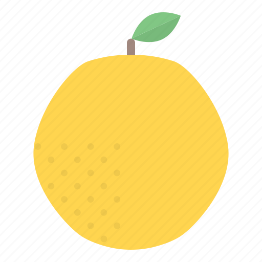 Winter, seasonal, food, fruits, grapefruits, orange, citrus icon - Download on Iconfinder