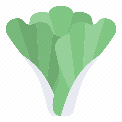 Winter, seasonal, food, vegetables, fruits, lettuce, green icon - Download on Iconfinder