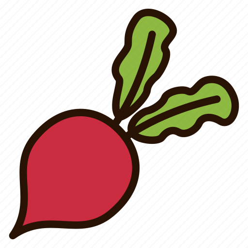 Beet, food, plant, root, vegetables icon - Download on Iconfinder