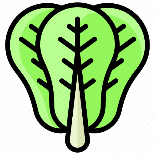 Vegetables, lettuce, food, gardening, healthy, vegetable icon - Download on Iconfinder