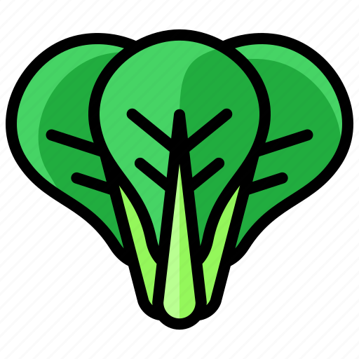 Vegetables, mache, food, gardening, healthy, vegetable icon - Download on Iconfinder