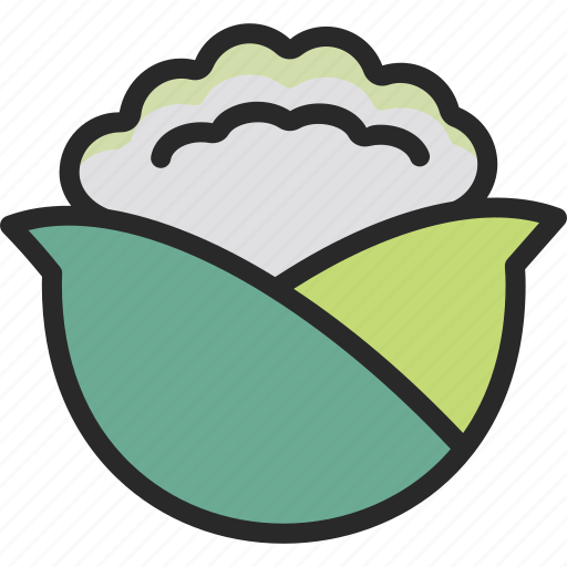 Brassica, cabbage, cauliflower, vegetable icon - Download on Iconfinder