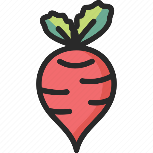 Beet, beetroot, radish icon - Download on Iconfinder
