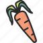 carrot, root, vegetable 