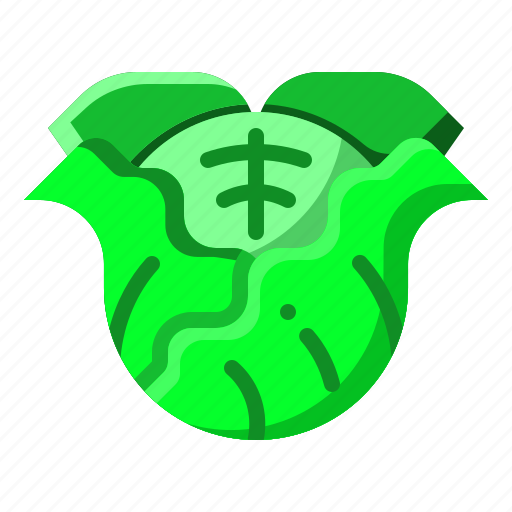 Cabbage, food, vegetable, salad, organic, healthy icon - Download on Iconfinder