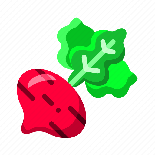 Radish, vegetable, healthy, food, root icon - Download on Iconfinder