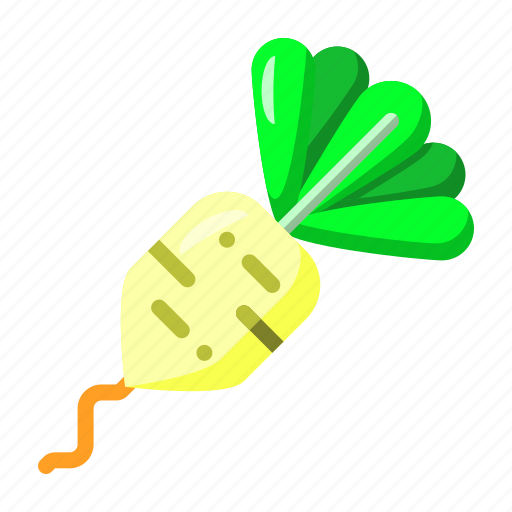 Turnip, vegetable, root, healthy, food icon - Download on Iconfinder