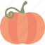 pumpkin, halloween 