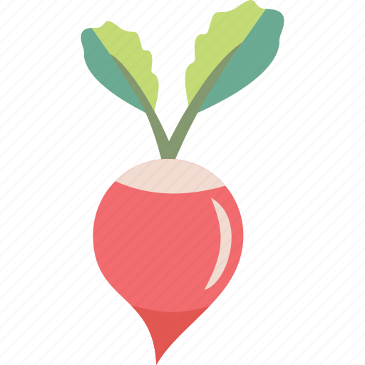 Radish, root, turnip, vegetable icon - Download on Iconfinder