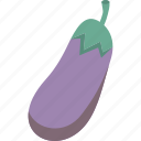 aubergine, brinjal, eggplant, purple, vegetable