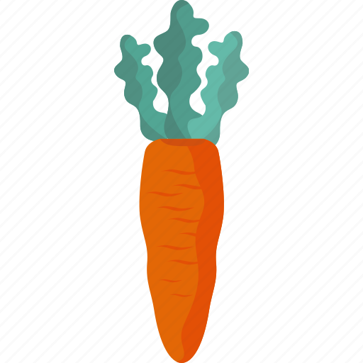 Carrot, ecology, food, vegan, vegetable icon - Download on Iconfinder
