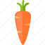 carrot, food, health, root, seeds, vegetable 