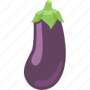 aubergine, brinjal, eggplant, purple, vegetable