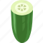cucumber, cucumiform, pickling, seedless, slicing, vegetable 