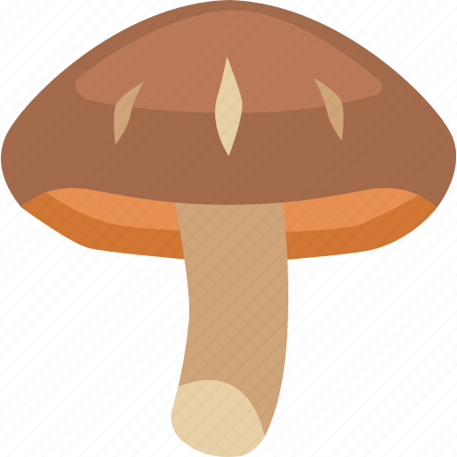 Edible, japanese, mushroom, shitake, shitake mushroom icon - Download on Iconfinder