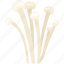 enoki, enokitake, golden needle, lily, mushroom, winter 