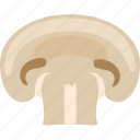 champignon, common, mushroom, portobello, white 