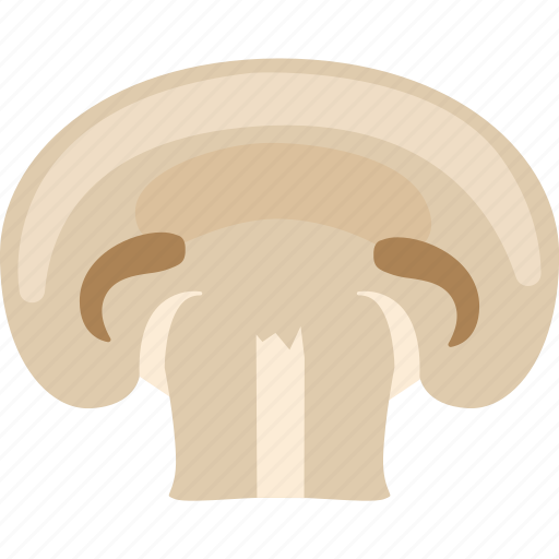 Champignon, common, mushroom, portobello, white icon - Download on Iconfinder