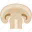 champignon, common, mushroom, portobello, white 