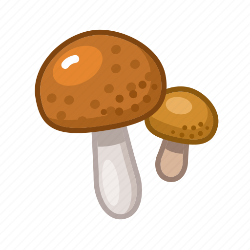 Boletus, brown, cap, mushroom, organic, vegetable icon - Download on Iconfinder