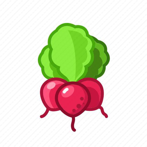 Healthy, radish, vegetable, vegeterian icon - Download on Iconfinder