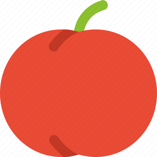 Peach, food, organic, apricot, freshness, vegetable, fruit icon - Download on Iconfinder