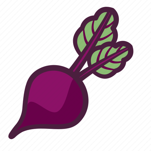 Vegetable, beetroot, beet, radish, leaves icon - Download on Iconfinder