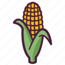 vegetable, corn, maize, sweet corn, corn cob
