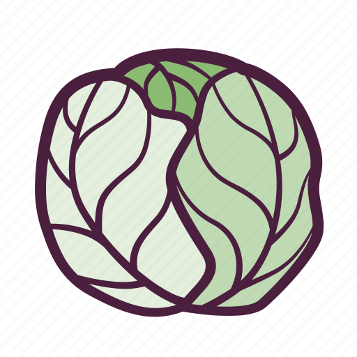 Vegetable, food, vegan, organic, lettuce, cabbage icon - Download on Iconfinder