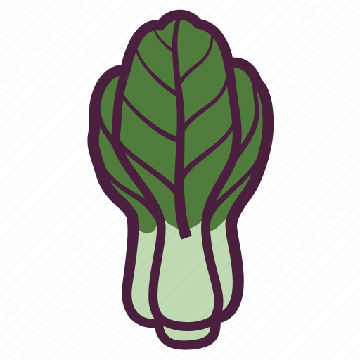 Vegetable, lettuce, chinese, cabbage, bok choy icon - Download on Iconfinder