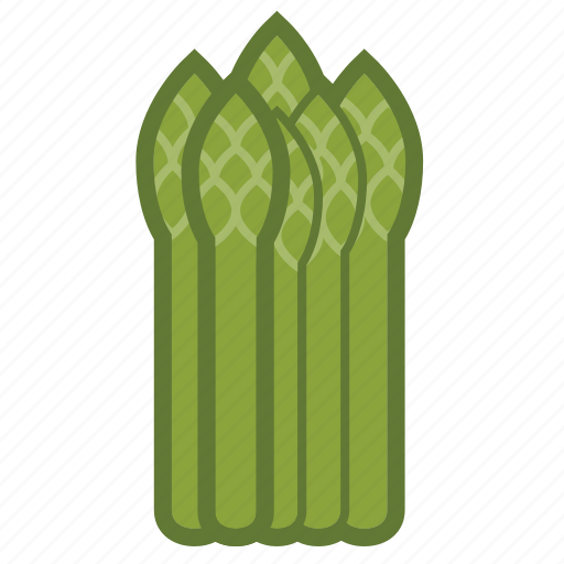 Asparagus, vegetable icon - Download on Iconfinder
