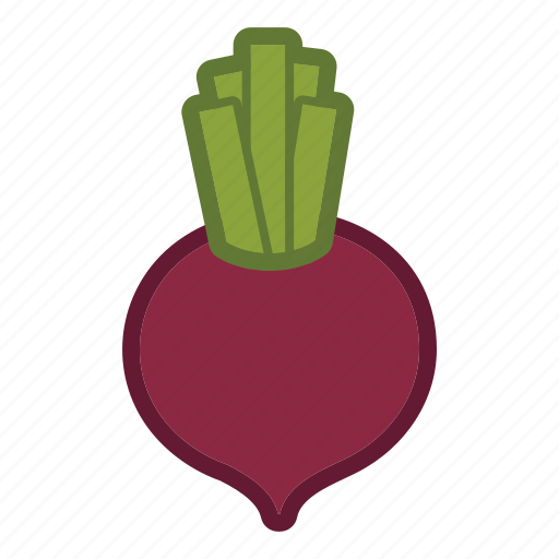 Root, beet, vegetable icon - Download on Iconfinder