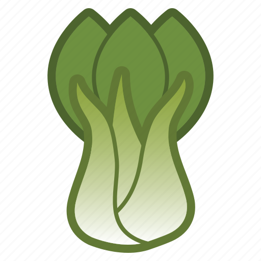 Choy, bok, salad, vegetable icon - Download on Iconfinder