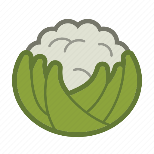 Cauliflower, vegetable icon - Download on Iconfinder
