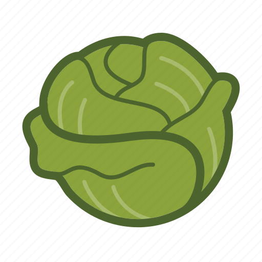 Lettuce, leaf, salad, vegetable icon - Download on Iconfinder