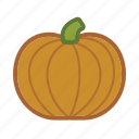 autumn, gourd, halloween, squash, pumpkin, vegetable
