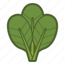 leaves, leaf, salad, spinach, vegetable