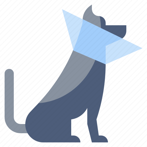 Animals, care, clean, cone, dog icon - Download on Iconfinder
