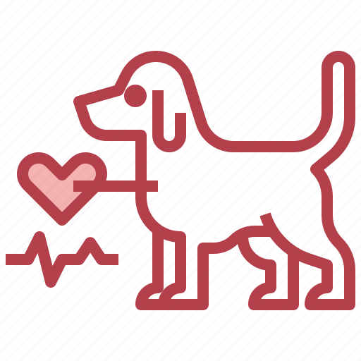 Animals, cardiology, care, clean, dog icon - Download on Iconfinder