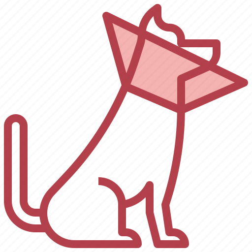 Animals, care, clean, cone, dog icon - Download on Iconfinder