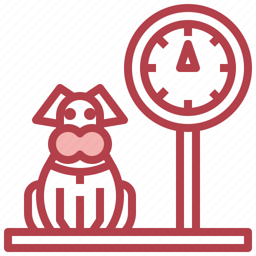 Animals, care, dog, pet, scale icon - Download on Iconfinder