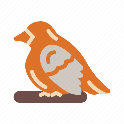 Bird, animal, pet, fowl icon - Download on Iconfinder