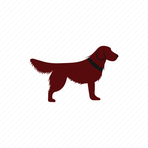 Animal, canine, dog, irish, pedigree, pet, setter icon - Download on Iconfinder