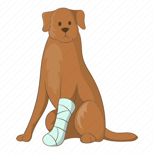 Bandage, dog, animal, pet icon - Download on Iconfinder