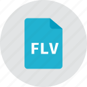 file, flv