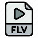 format, flv, extension, video