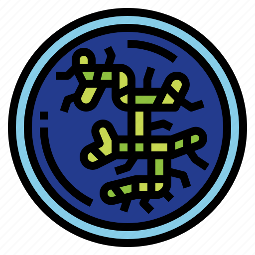 Bacteria, biology, filamentous, virus icon - Download on Iconfinder