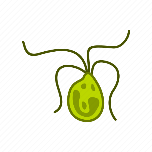 Bacterial, biology, cell, infection, medicine, microbe, microbiology icon - Download on Iconfinder