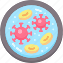 bacteria, chemistry, dish, petri, plate, protection, virus 
