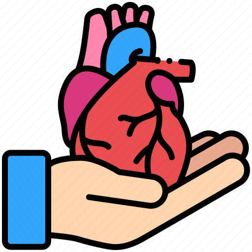 Organ donation, hand, organ, heart, transplantation icon - Download on Iconfinder